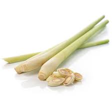 Lemon Grass (x12)